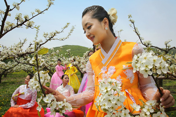 为什么历史选择了剑崎梨梨花_梨梨花生日_梨梨花