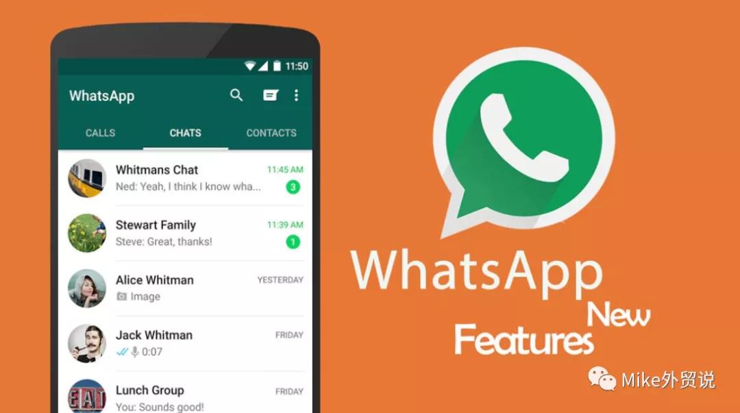 whatsapp中文官网下载_whatsapp中文版_whatsapp官方中文正版