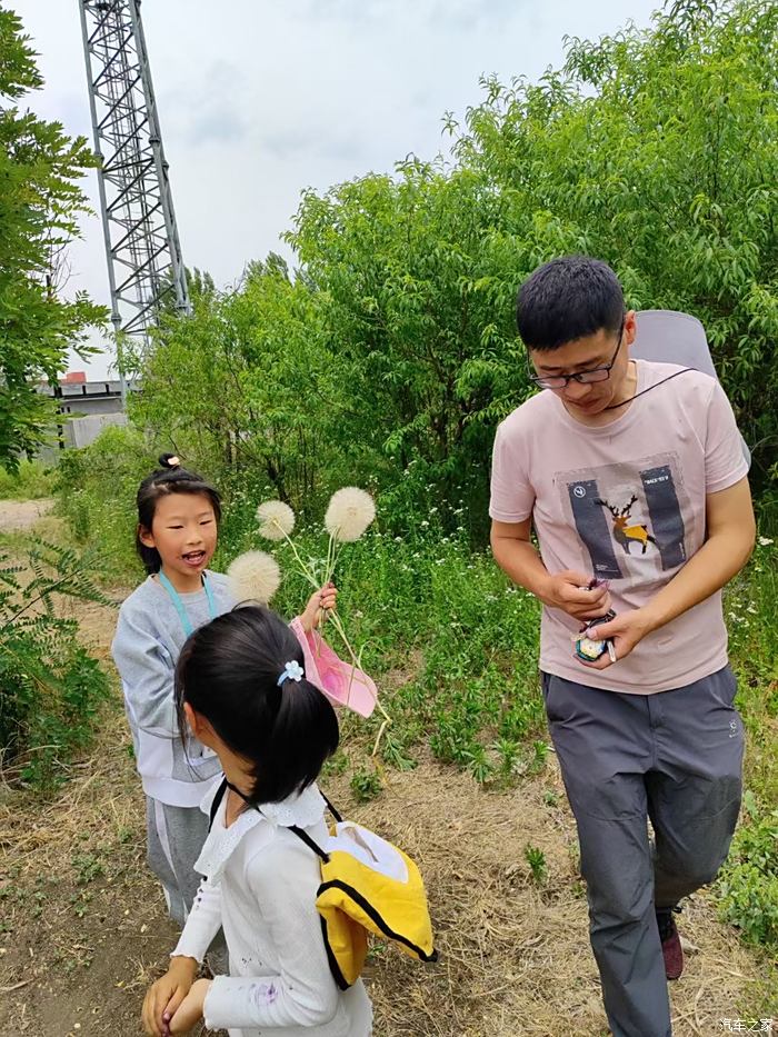 苹果手机小狐狸钱包下载不了-苹果手机无法下载小狐狸钱包，原因究竟为何？