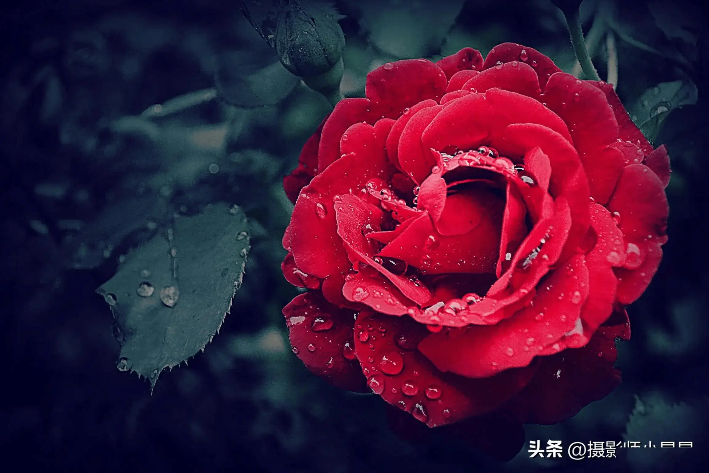 吐息_吐息_吐息