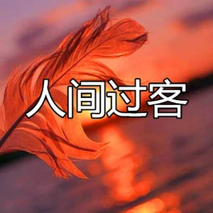 抖音申诉文本_抖音申诉文案_抖音200字申诉文案案例