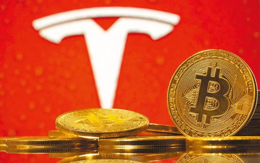 狗币tp钱包_dogecoin狗狗币钱包_tp钱包 狗狗币网络