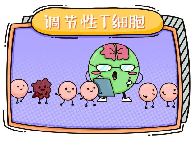 初始细胞名词解释_初始细胞是什么_初始t细胞