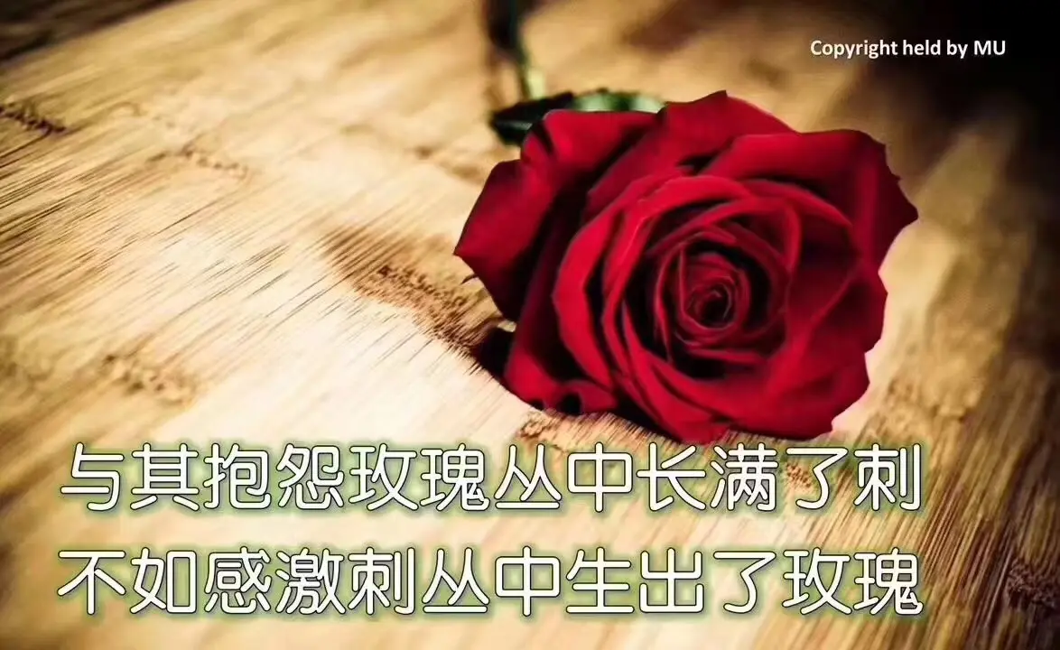 青草福利视频_青草福利视频_青草福利视频