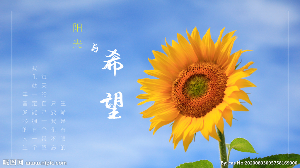 春分梦回_春分节气的含义是什么_春分