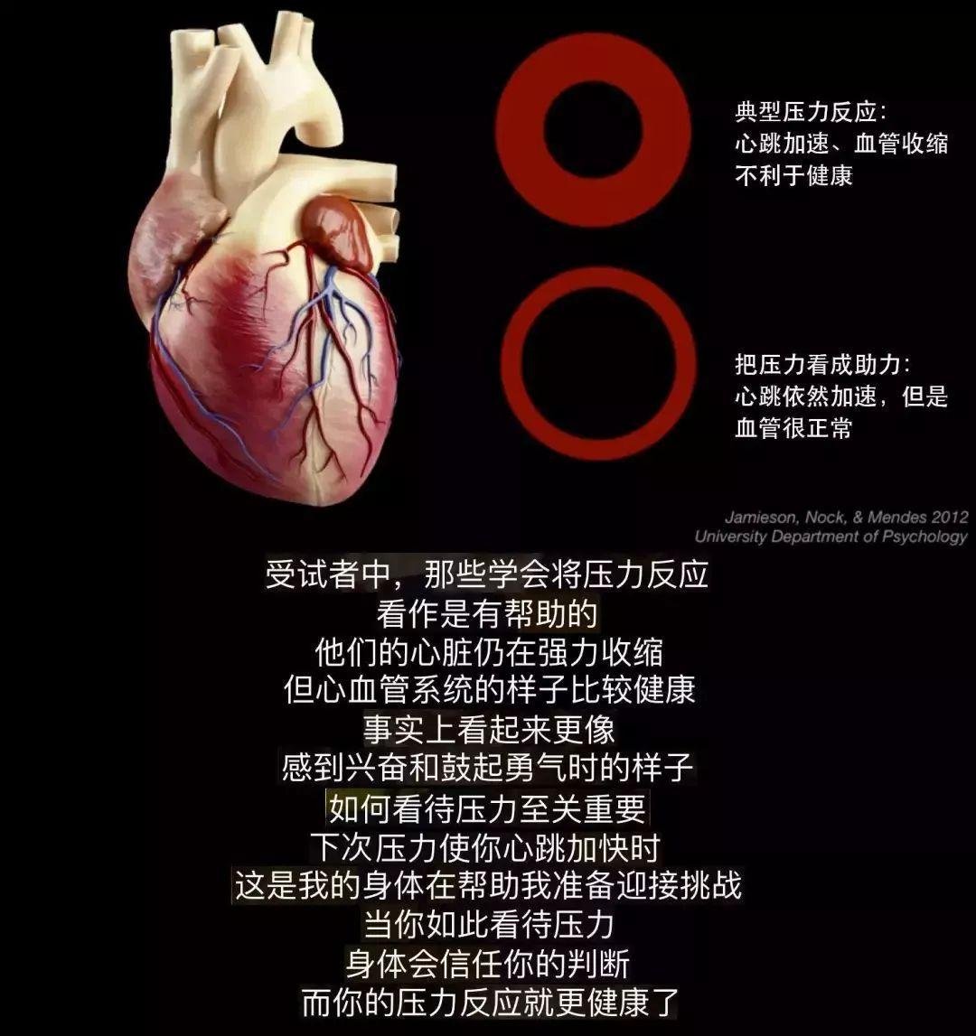 你相信引力吗_相信引力吗_《引力》