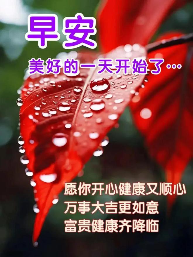 皇宫养成游戏推荐_皇宫手机游戏大全_手机皇宫游戏