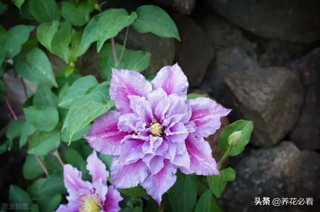 tp钱包怎么下_tp钱包下载app_tp钱包安卓下载教程
