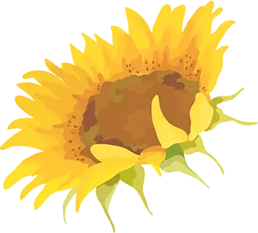 夏日诗_最经典的夏日诗词_夏日诗词名句