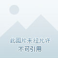手机扣扣里的游戏咋点不开-手机 QQ 游戏卡住不动，是服务器问题还是手机系统需要更新？