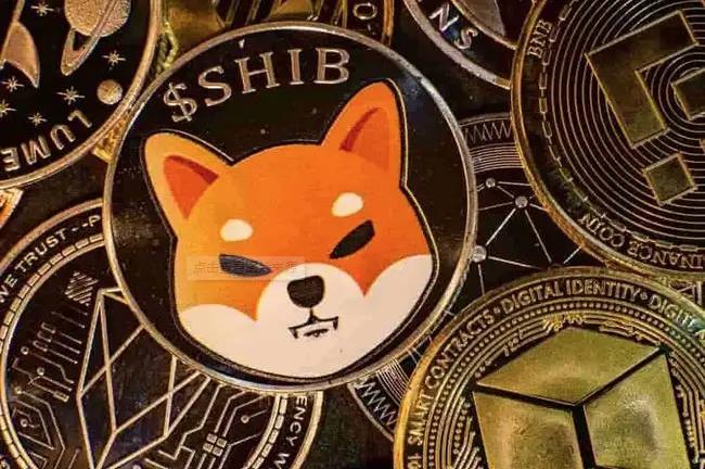 屎币最新价格_屎币最新价格走势图_屎币最新价格今日行情