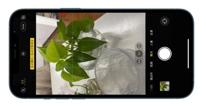 苹果tp钱包怎么下载_钱能钱包苹果下载_no钱包苹果下载