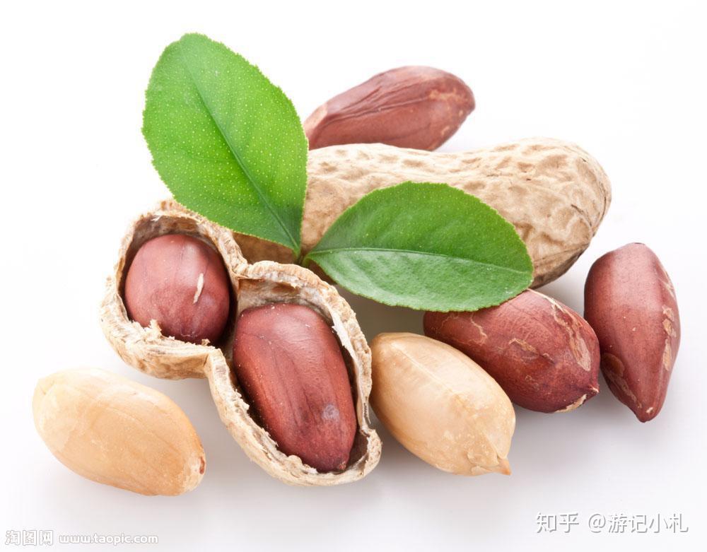 狗狗币最新成交价格_狗狗币最新价格表_狗狗币最新价格怎么查