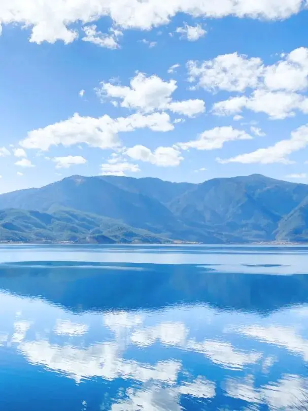 空想树_空想树海纪行没关卡了_空想树海纪行