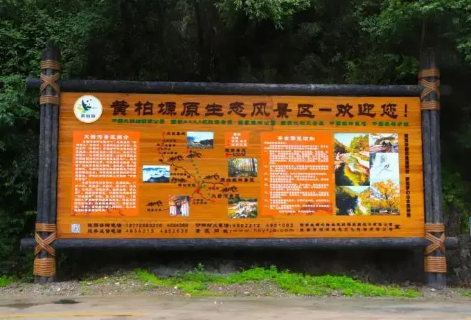 银之圣者托奇_托奇_多奇托奇