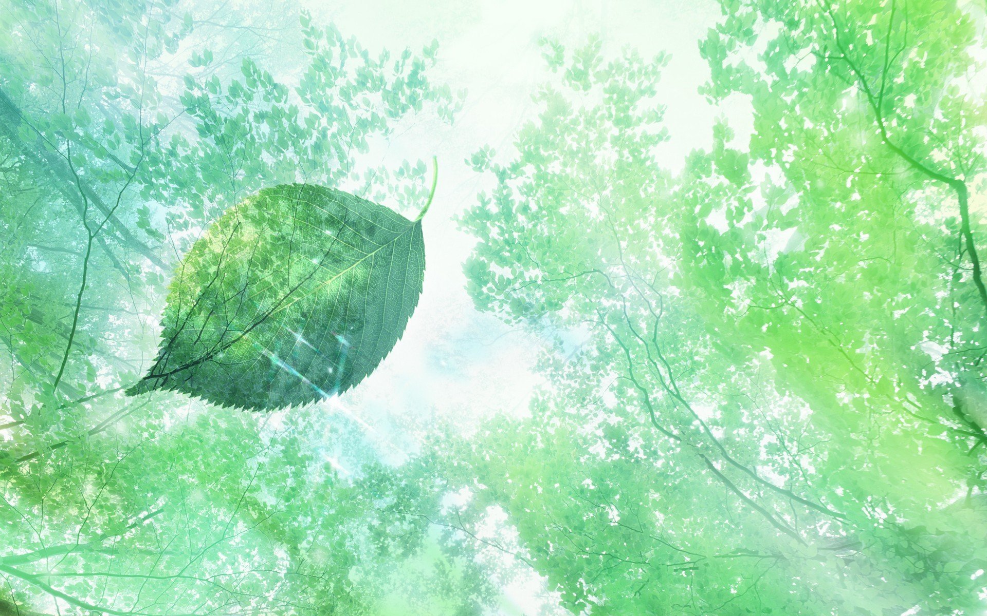 团时郎_团时郎_团时郎
