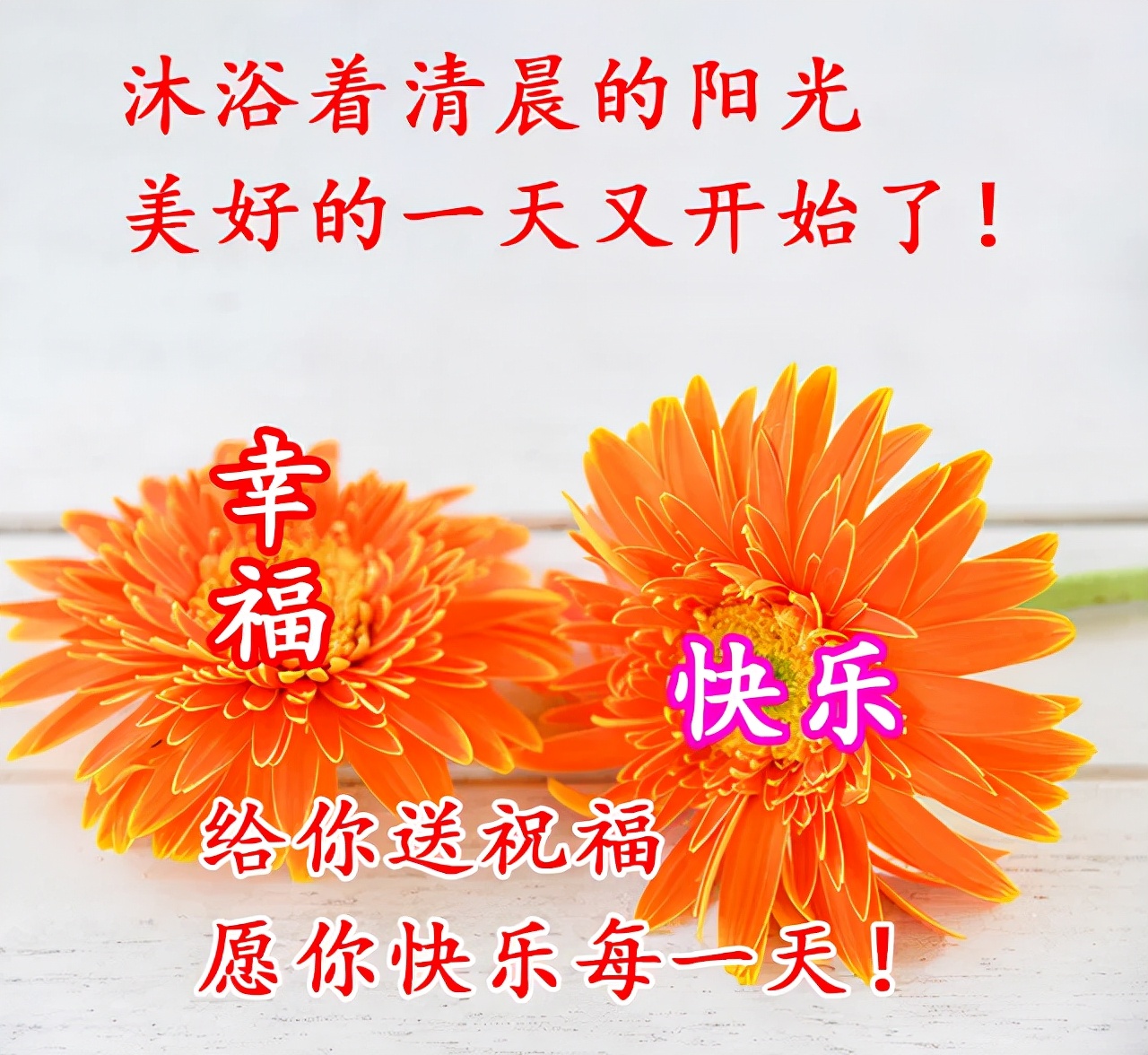 九天传奇_四九天_九天封魔录