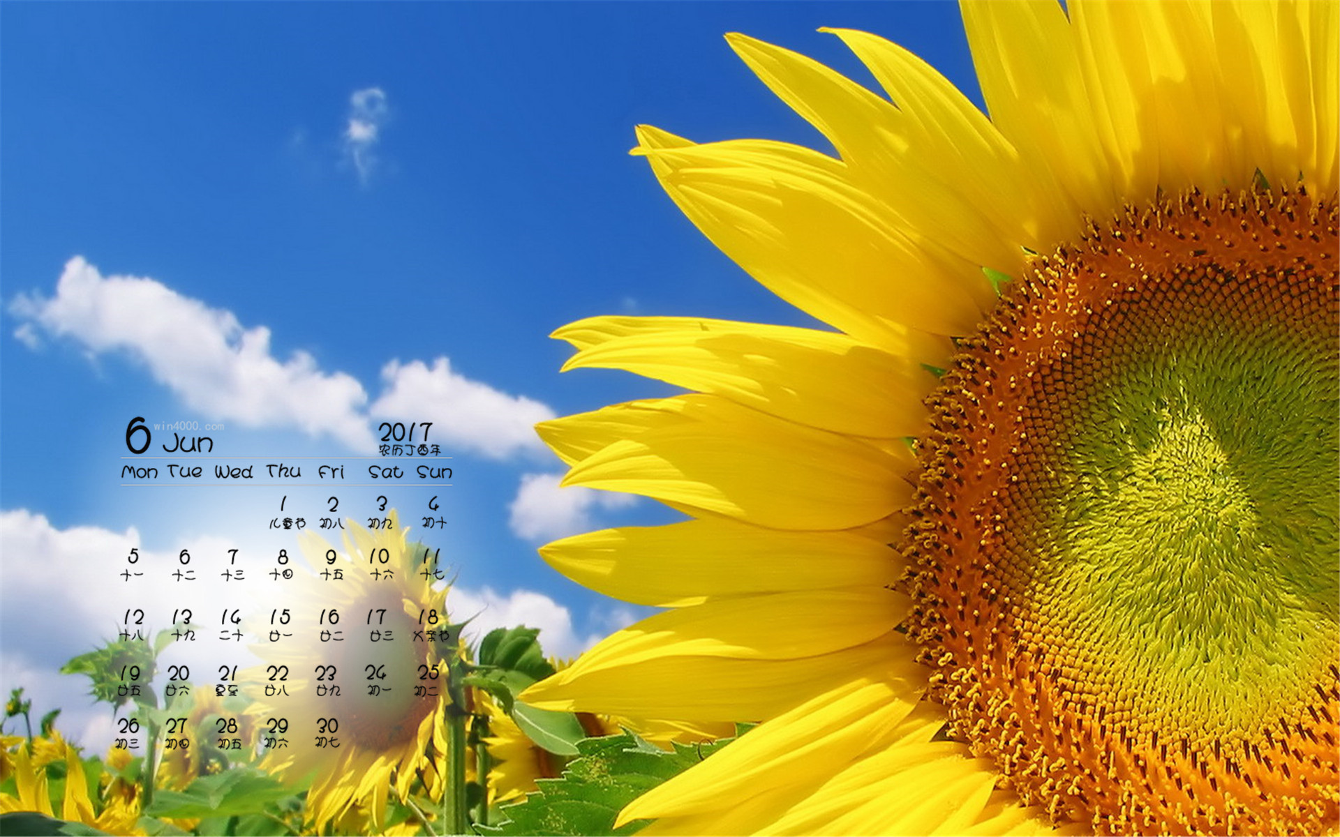 日历表月份的画法_5月日历表_日历表月份