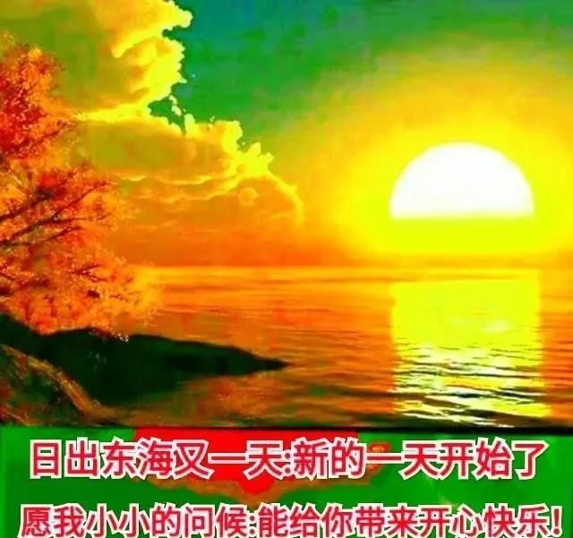 娜莎莉玫瑰_娜莎莉娅_莎莉娜