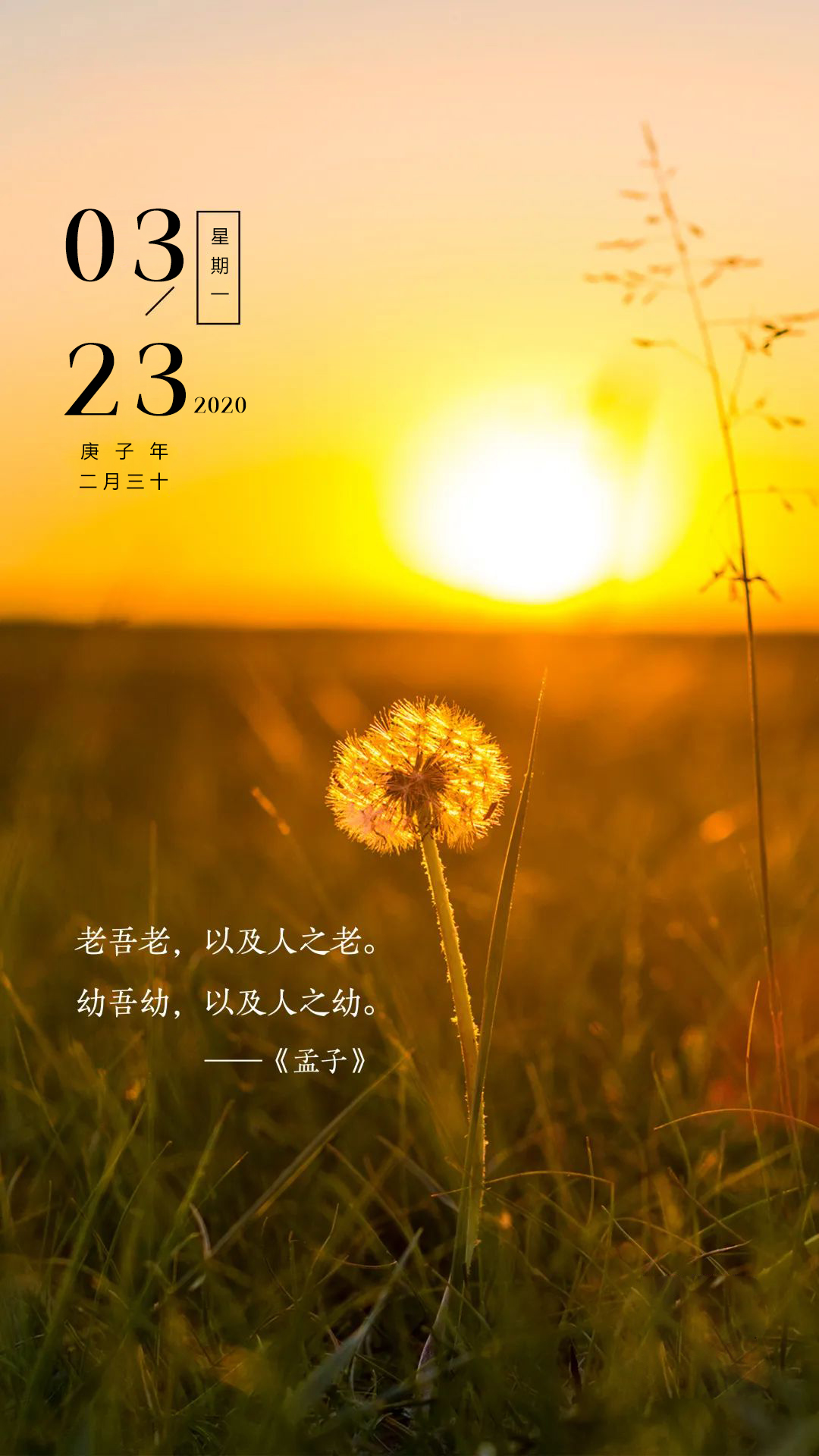 市川美织_市川美织_川美美术馆电话