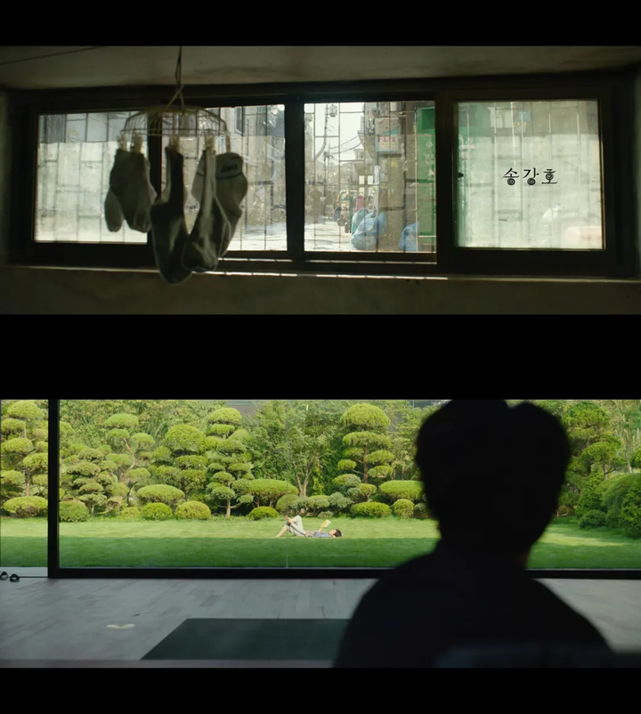 2019寄生虫_马苍蝇幼虫寄生_寄生虫寄生