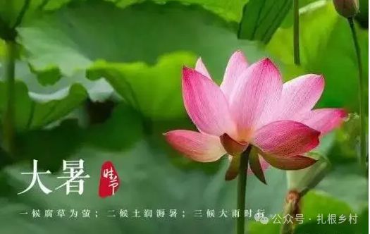 大暑本意是_大暑意味着什么_大暑是什么意思
