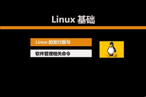 ping命令详解_yum命令详解_linux命令详解词典