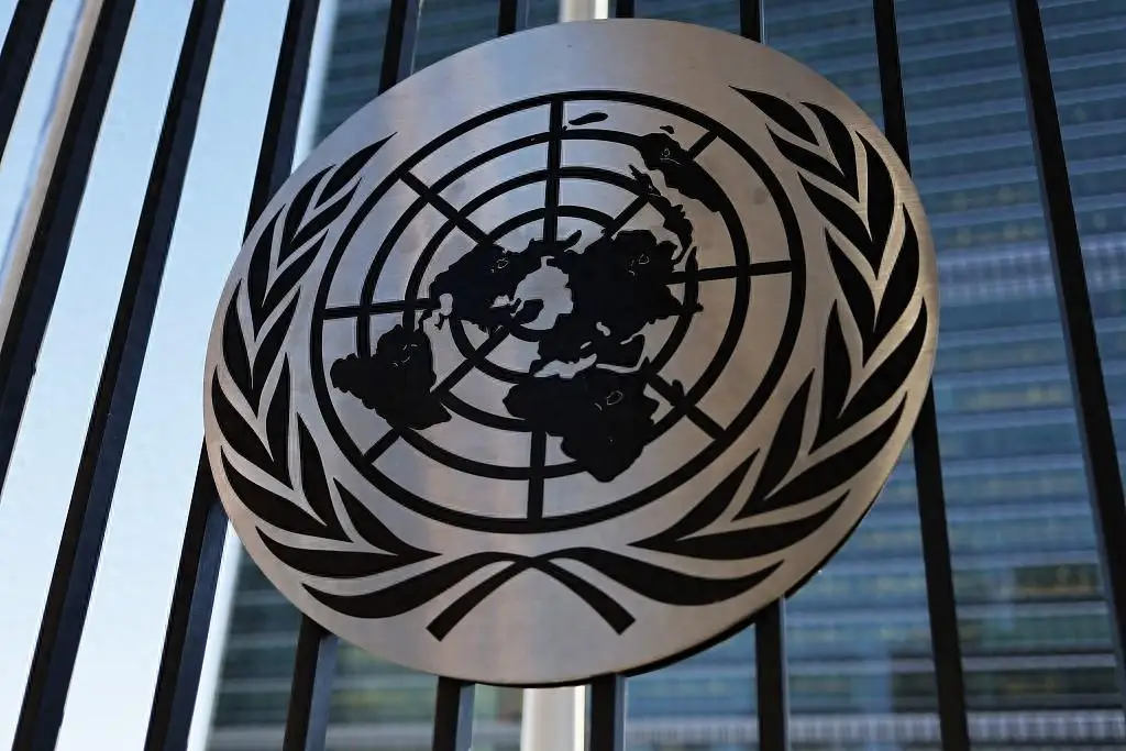 联合国是一个什么性质的组织_联合国日是_联合国是什么意思