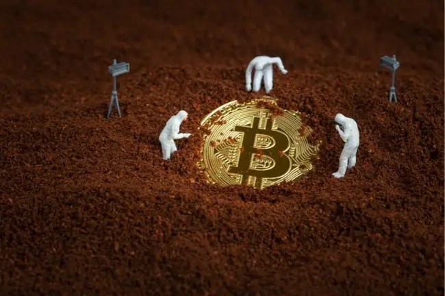狐狸钱包ios_苹果手机小狐狸钱包下载不了_中文手机版小狐狸钱包安装