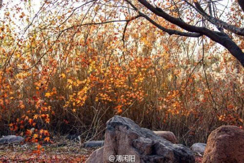 缘染此叶化恋红是18r吗_缘染此叶化恋红资源_缘染此叶化恋红