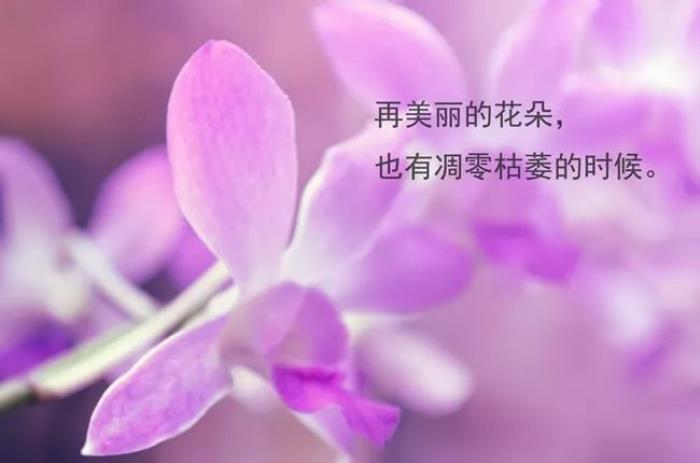 橘日向_橘日向_橘日向