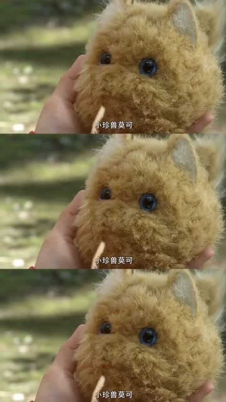 宠物怪兽安卓下载_怪兽萌宠游戏_手机版宠物怪兽游戏下载