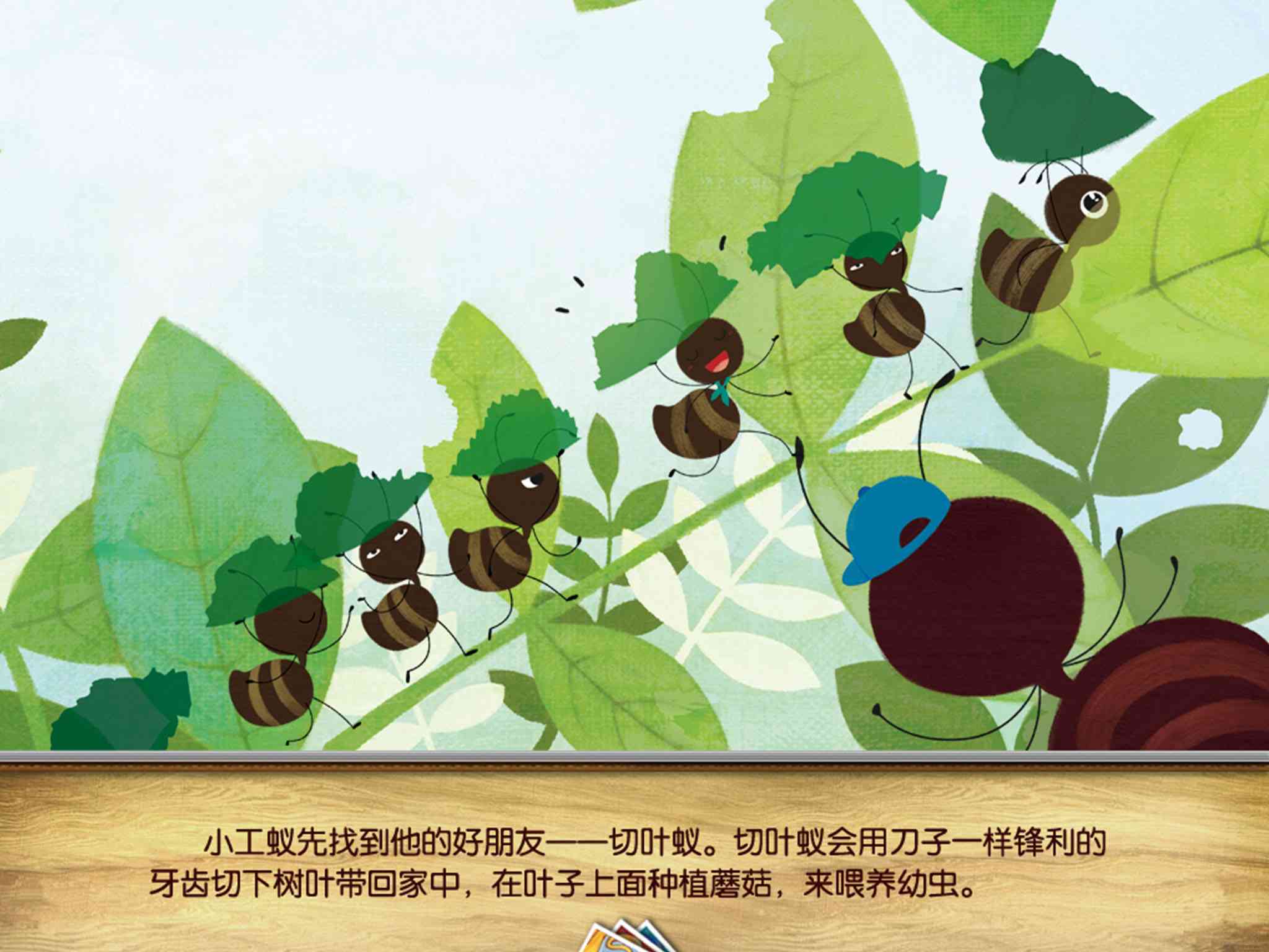 弥塞拉弥斯_弥拉克兰热情之弦_塞弥拉弥斯