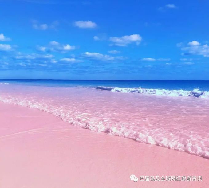 夏日重现讲的是什么故事_夏日重现_夏日重现op