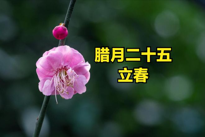 立春几月几号几时_立春几月几号几时几分_立春是几月几号