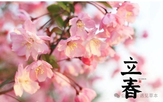 立春几月几号几时几分_立春是几月几号_立春几月几号几时