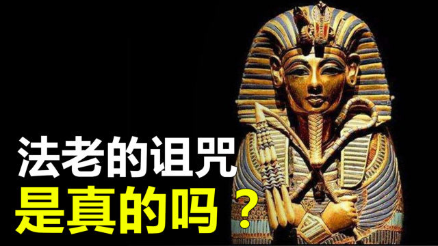 祖海慕拉官网_慕拉酸奶_百慕拉