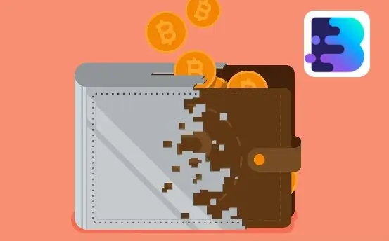 小狐狸钱包添加btc_小狐狸钱包添加nft_小狐狸钱包如何添加网络连接设备