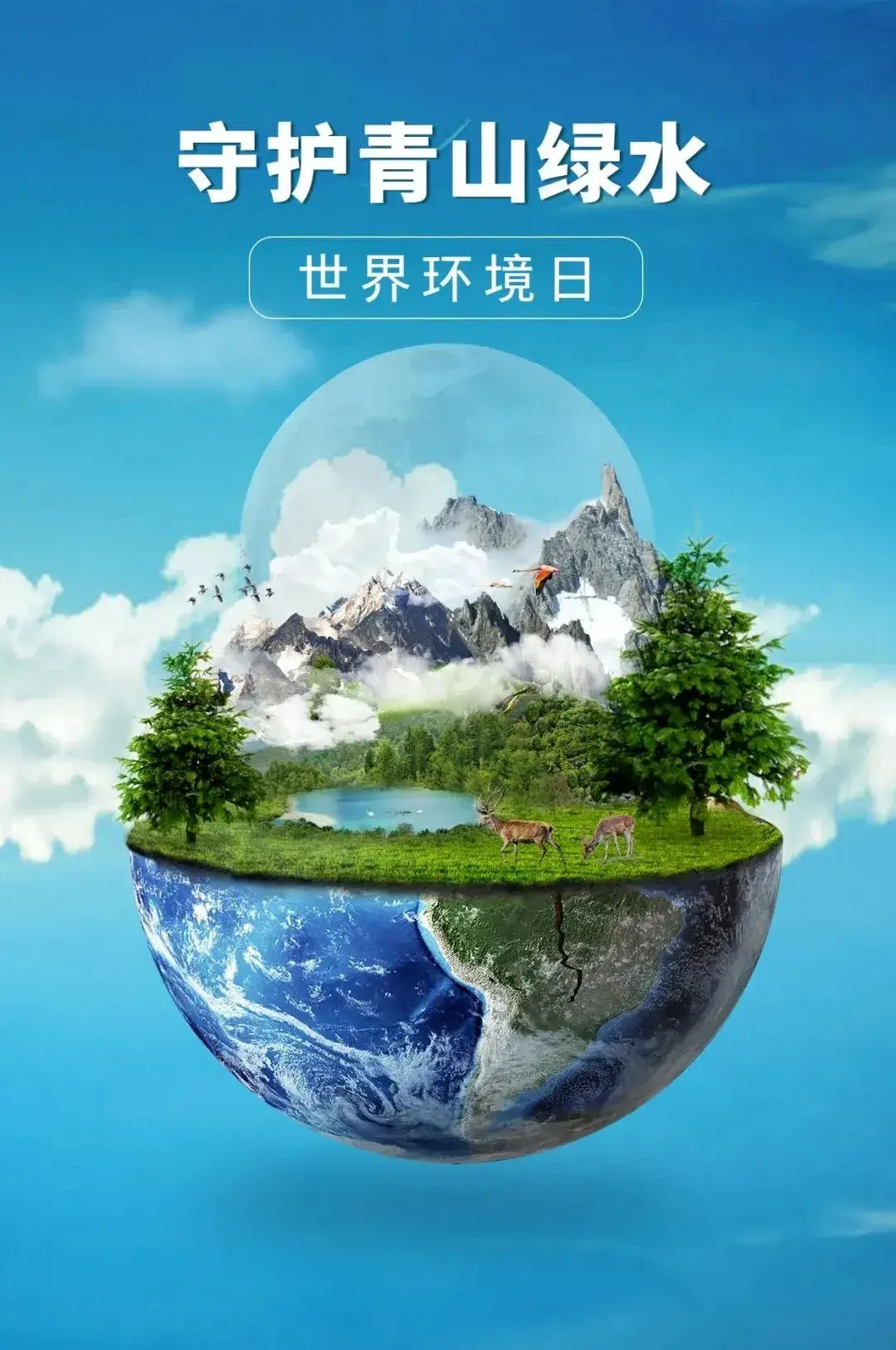 生态系统的基石-生态系统基石：森林与湿地，关乎你我生存的关键