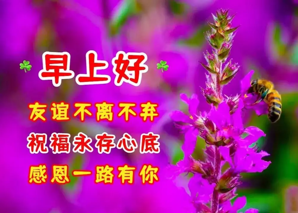 椰子加农炮折纸_胡萝卜导弹车VS椰子加农炮_椰子加农炮