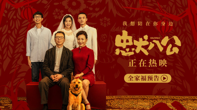 忠犬八公在线播放免费_高清播放免费忠犬八公在线观看_忠犬八公高清免费播放