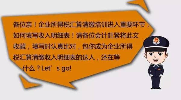 收入实际纳税明细样本表_收入纳税明细跟实际收入不一样_收入纳税明细跟实际收入