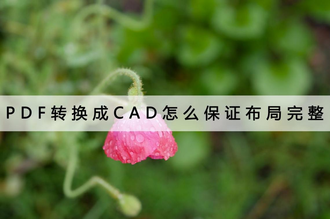 cad如何画随意弯曲的线_cad怎么画弯线快捷键_cad如何画弯弯曲曲的线