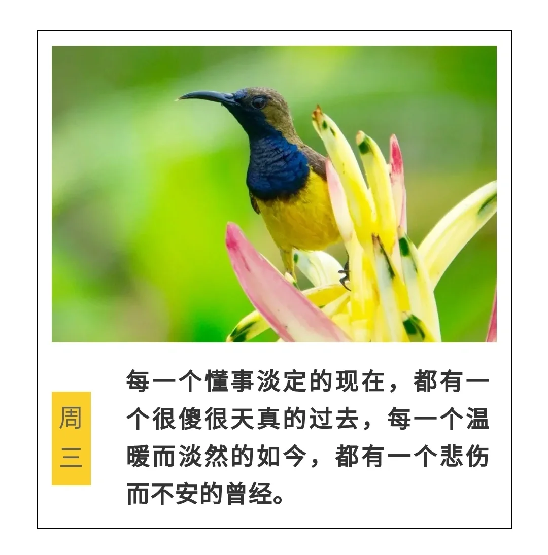 节气文案小寒怎么写_小寒节气配文_小寒节气的文案