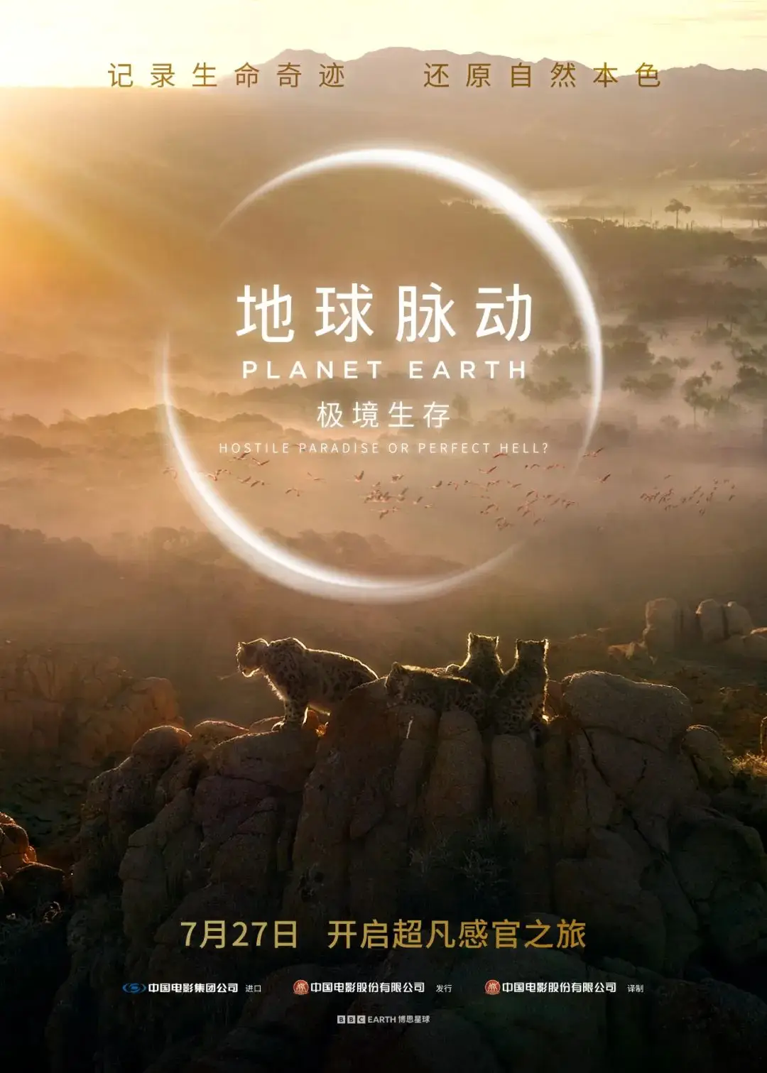 撒哈拉奇兵游戏手机版_撒哈拉奇兵中英双字_撒哈拉奇兵