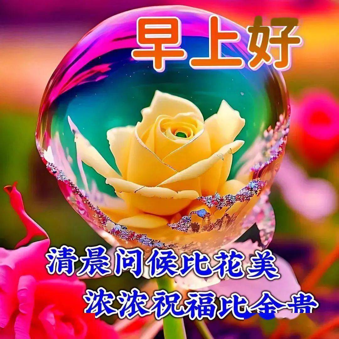 白千钧许霜清_清霜_霜清茶有什么功效