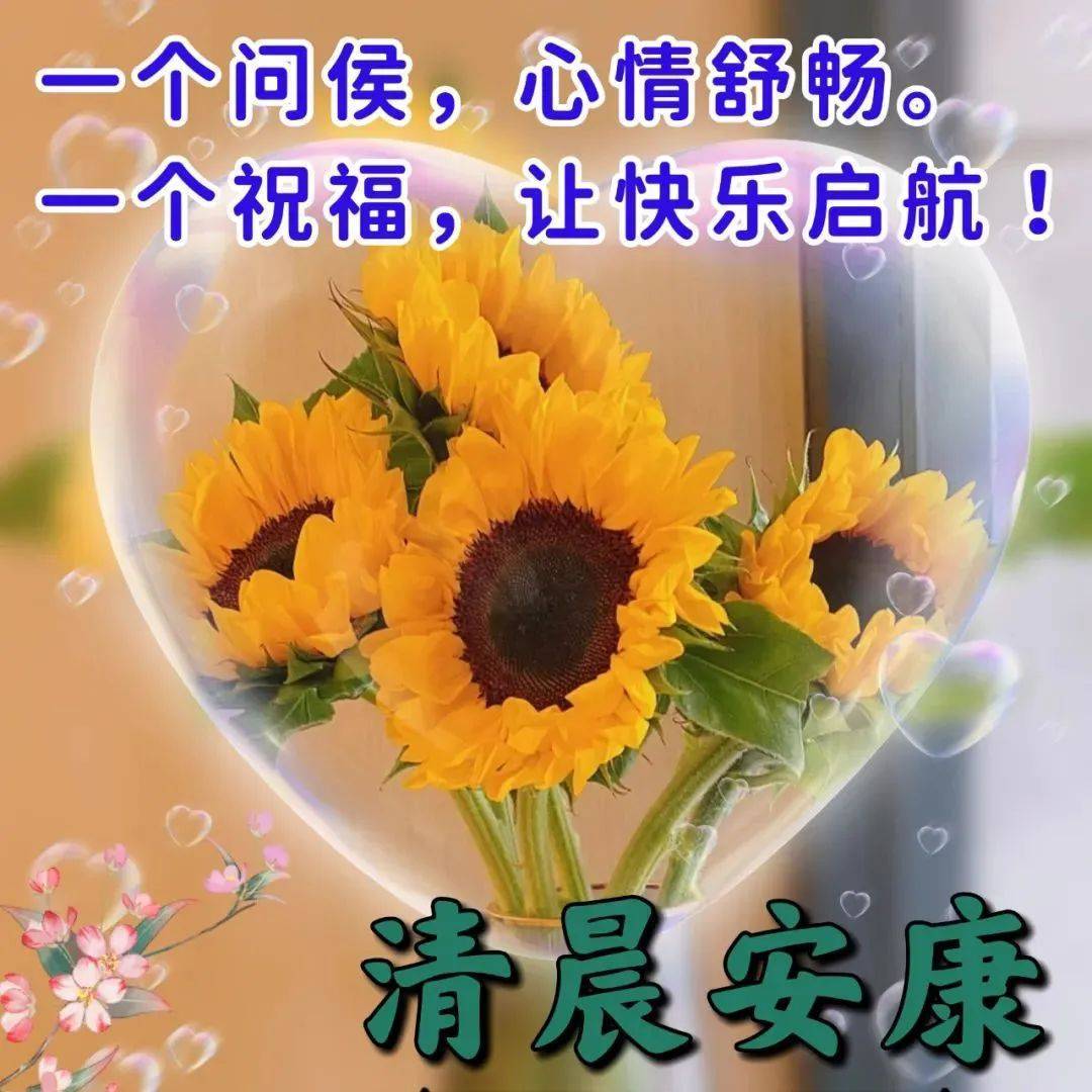 白千钧许霜清_清霜_霜清茶有什么功效