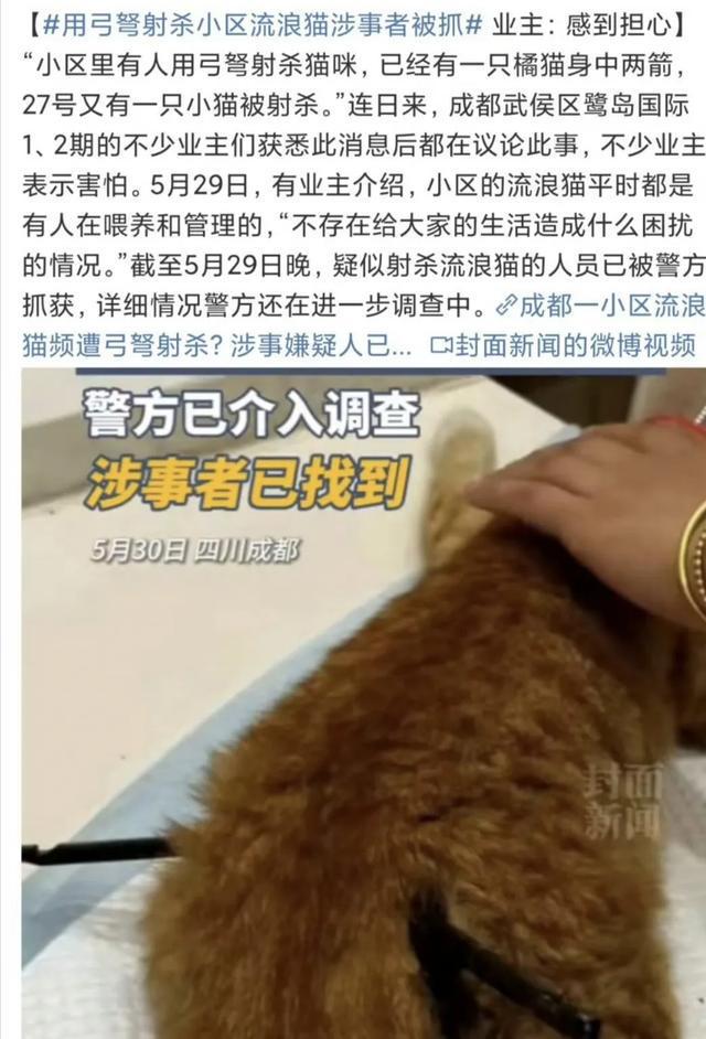 iphonex游戏时横条_苹果手机玩游戏横条在右边_苹果玩游戏时横条为什么不淡化