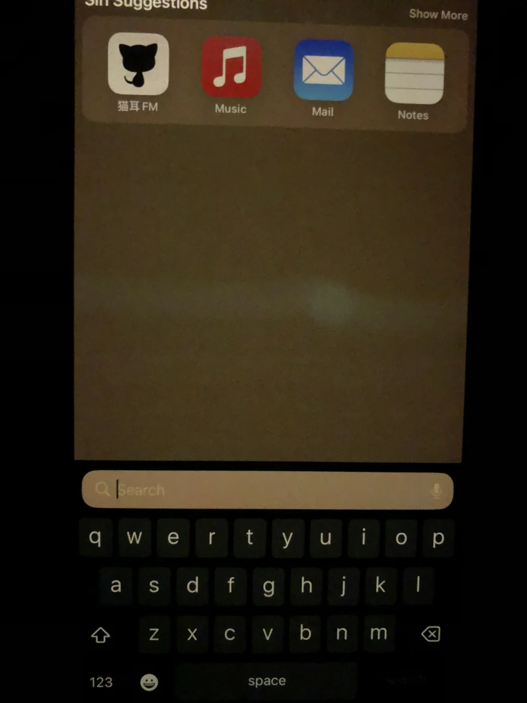 iphonex游戏时横条_苹果手机玩游戏横条在右边_苹果玩游戏时横条为什么不淡化