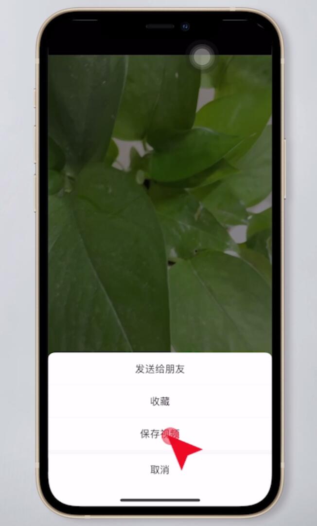 视频公众保存手机号里到哪里了_视频公众保存手机号里到哪里找_公众号里的视频怎么保存到手机